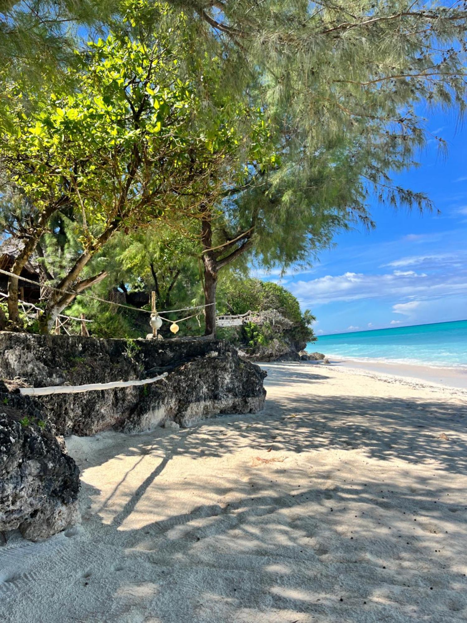 Sazani Beach Lodge And Tidal Lounge Nungwi Extérieur photo